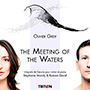 images/A_MyMuseImages/couvs_90/greif_meeting_waters.jpg